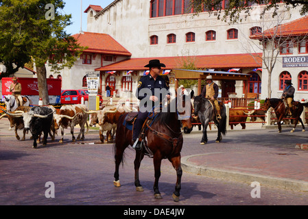 Un transport de bétail dans la région de Fort Worth, Texas Banque D'Images