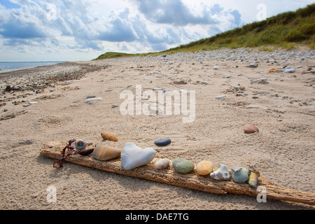 Collection de pierres visible allongé sur un morceau de bois flotté à la plage de sable de la mer du Nord, Allemagne Banque D'Images