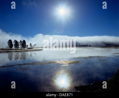 Brouillard au sol au lever du soleil, USA, Wyoming, Yellowstone National Park Banque D'Images