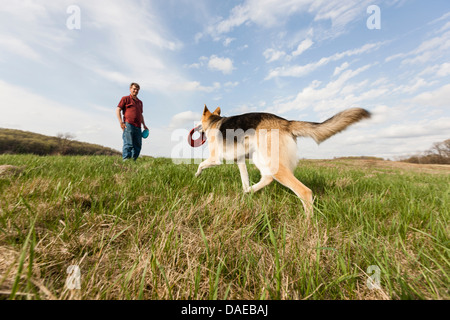 La formation de l'homme chien alsacien avec les frisbees Banque D'Images