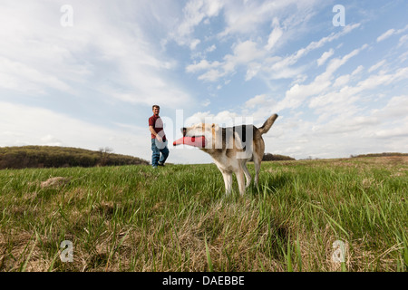 Avec chien frisbee rouge alsacien Banque D'Images