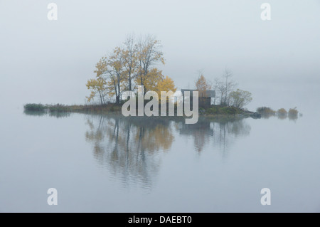 Eibsee ile de dans le brouillard, en Allemagne, en Bavière, Oberbayern, Haute-Bavière Banque D'Images