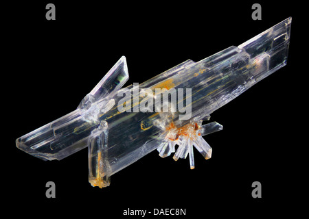 Cristaux de gypse, l'Allemagne, Thuringe Banque D'Images