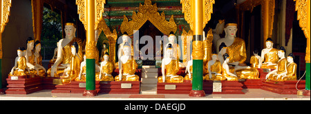 Un grand nombre de statues de Bouddha à la pagode Shwedagon, le plus important bâtiment sacré et centre religieux du pays, la Birmanie, Yangon Banque D'Images