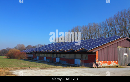 Capteurs solaires sur le toit d'un bâtiment agricole , Allemagne, Rhénanie du Nord-Westphalie Banque D'Images