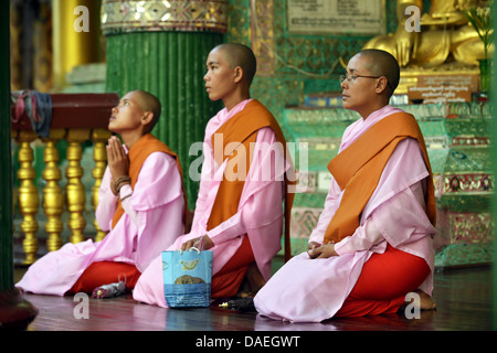 Trois nonnes Buddhistic assis priaient à la pagode Shwedagon, le plus important bâtiment sacré et centre religieux du pays, la Birmanie, Yangon Banque D'Images