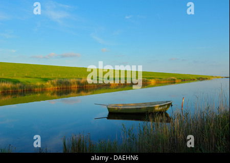 Bateau à rames sur canal dans la lumière du soir, Pays-Bas, Texel, de Bol Banque D'Images