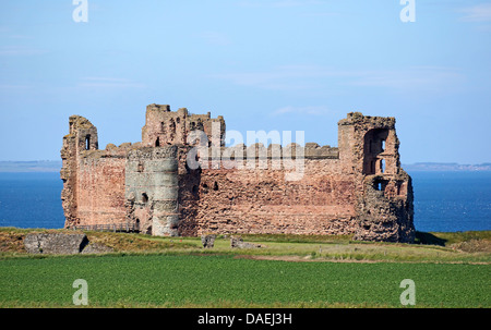 Le Château de Tantallon est de North Berwick East Lothian en Écosse Banque D'Images