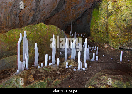 Les stalagmites de glace dans une grotte, l'Allemagne, Bade-Wurtemberg, Ostalb Banque D'Images