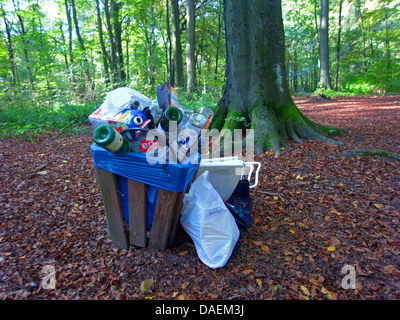 Poubelle débordante dans une forêt, Allemagne Banque D'Images