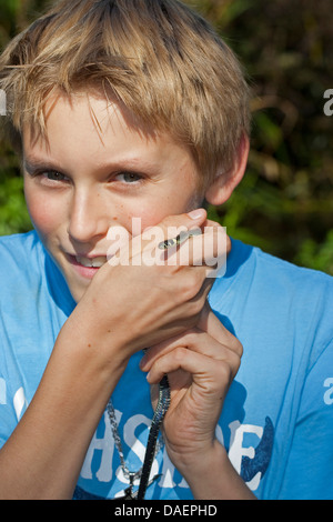 Couleuvre à collier (Natrix natrix), boy avec serpent dans la main, Allemagne Banque D'Images