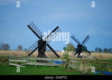 Les petits moulins à vent en bois dans un champ peut être vu près du village de Zaanse Schans Banque D'Images