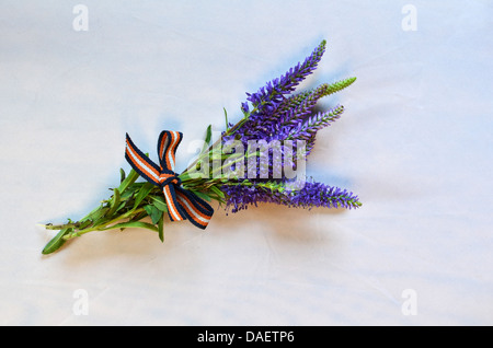 Petit bleu bouquet de fleurs d'été à fond blanc Banque D'Images