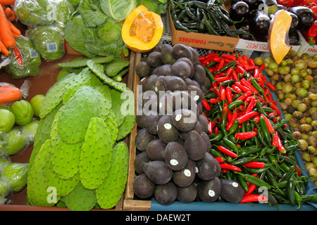 Miami Florida,Homestead,Redland's Farmers Market,produit,vente,shopping shopper shoppers magasins marché marchés achats vente,vente au détail St Banque D'Images