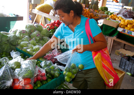 Miami Florida,Homestead,Redland's Farmers Market,produit,vente,shopping shopper shoppers magasins marché marchés achats vente,vente au détail St Banque D'Images