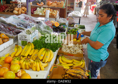 Miami Florida,Homestead,Redland's Farmers Market,produits,fruits,vente,shopping shopper shoppers magasins marché marchés achats vente,et Banque D'Images