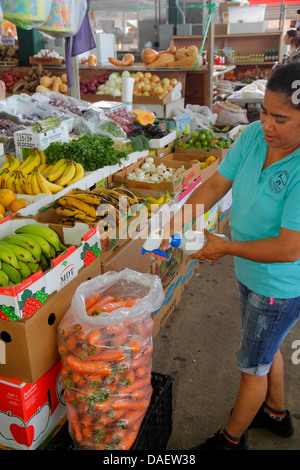 Miami Florida,Homestead,Redland's Farmers Market,produit,vente,shopping shopper shoppers magasins marché marchés achats vente,vente au détail St Banque D'Images