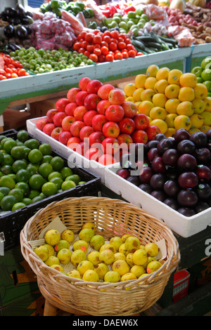 Miami Florida,Homestead,Redland's Farmers Market,produit,vente,shopping shopper shoppers magasins marché marchés achats vente,vente au détail St Banque D'Images