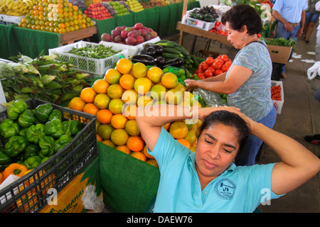 Miami Florida,Homestead,Redland's Farmers Market,produits,fruits,vente,shopping shopper shoppers magasins marché marchés achats vente,et Banque D'Images