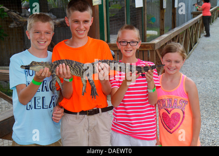 Fort ft. Lauderdale Weston Florida, fort ft. Lauderdale,Sawgrass Recreation Park,Everglades,bébé bébés enfants enfants,alligator juvénile,tenue,garçon b Banque D'Images