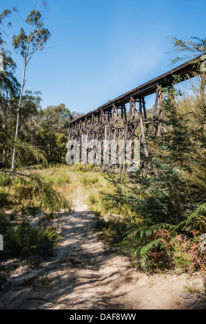 Le Stony Creek Trestle Bridge, la plus grande structure de ce type dans l'hémisphère sud. Banque D'Images