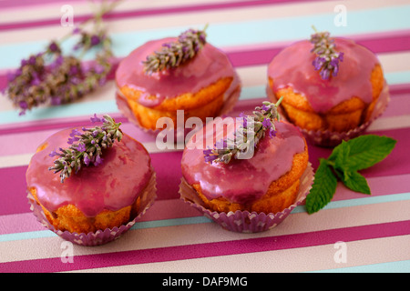 Petits gâteaux à la lavande. Recette disponible. Banque D'Images