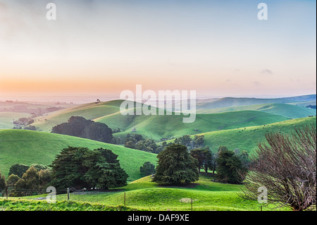 Des collines de terres agricoles et de ciel bleu dans l'état australien de Victoria, Gippsland Banque D'Images