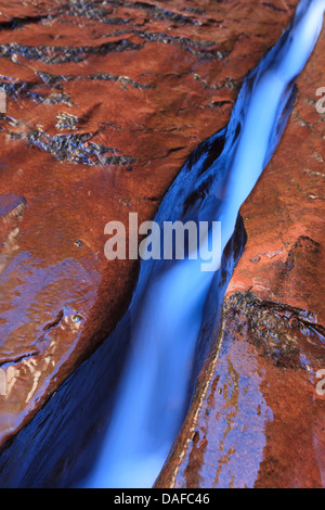 USA, Utah, Zion Canyon National Park, le métro, l'eau canalisée et Slickrock Banque D'Images