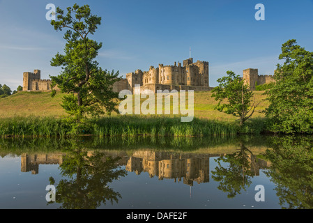 Château d'Alnwick reflétée dans la rivière Aln sur un matin d'été, Northumberland, England Banque D'Images