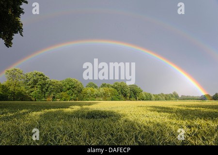 Double arc-en-ciel sur un champ de maïs, en Allemagne, en Basse-Saxe, Ottenstein Banque D'Images