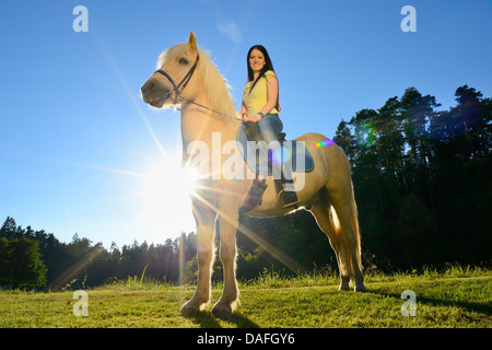 Islandic Horse, cheval islandais, Islande pony (Equus przewalskii f. caballus), monté par une jeune femme, en Allemagne, en Bavière Banque D'Images