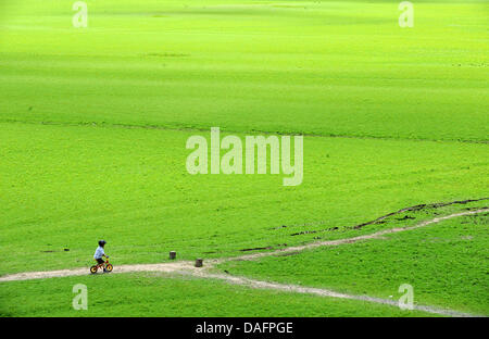 (Afp) - Un fichier photo en date du 01 août 2011 montre un petit garçon sur son vélo sur le lac asséché, près de l'Eder, Allemagne. Saarwellingen Photo : Uwe Zucchi Banque D'Images