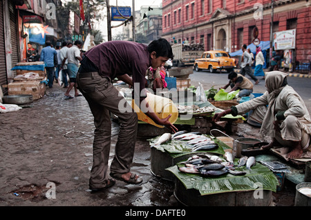 Décrochage du poisson dans les rues de Calcutta. L'ouest du Bengale, en Inde Banque D'Images