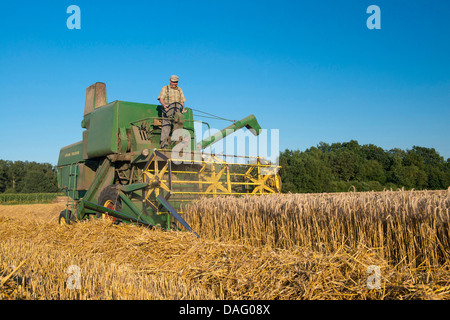 Moissonneuse-batteuse, dans le champ de céréales, de l'Allemagne Banque D'Images