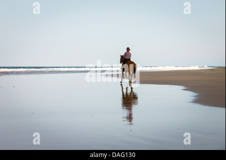 Cavalière solitaire sur une plage Banque D'Images