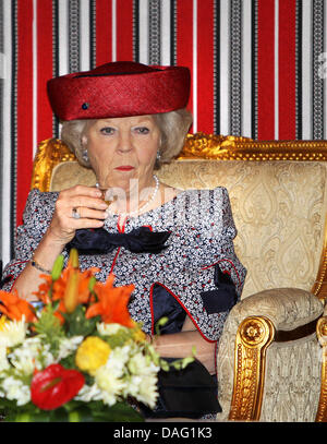 La reine Béatrix La reine Béatrix des Pays-Bas visite la ville industrielle de Ras Laffan (RLIC) et l'interpréteur pearl GTL le deuxième jour de la visite d'état des royals néerlandais à Doha, Qatar, le 10 mars 2011. Photo : Albert Nieboer Pays-bas OUT Banque D'Images