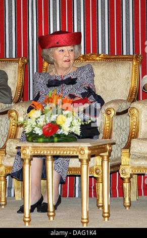 La Reine Beatrix visite la ville industrielle de Ras Laffan (RLIC) et l'interpréteur pearl GTL le deuxième jour de la visite d'état des royals néerlandais à Doha, Qatar, le 10 mars 2011. Photo : Albert Nieboer Pays-bas OUT Banque D'Images