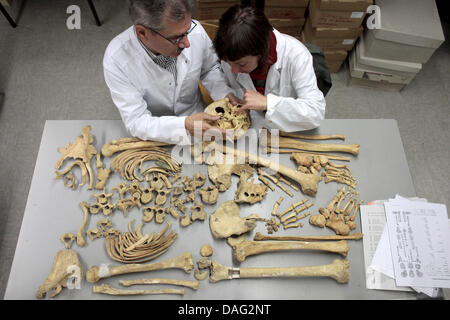 (Afp) un fichier photo datée du 13 août 2010 de l'anthropologue Kurt Alt (L) et l'un de ses étudiants lorgne les os et un crâne dans la cave de l'Université Johannes Gutenberg à Mayence, en Allemagne. Photo : Fredrik von Erichsen Banque D'Images