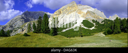 Groupe Hohe Gaisl, Italie, poursuivi Tirol, Dolomiten , parc naturel de Fanes-Sennes-Prags Banque D'Images