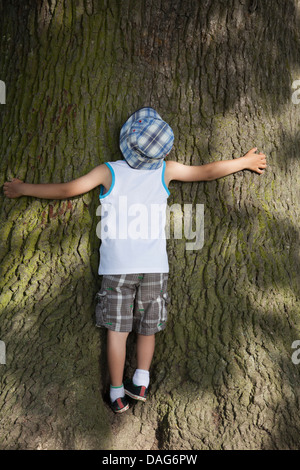 Hugs enfant un arbre Banque D'Images