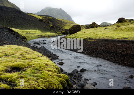 Pakgil Paysage, Sud de l'Islande Banque D'Images