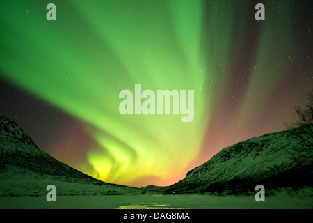 Rideau aurora devant le ciel étoilé au-dessus de la vallée couverte de neige, en Norvège, Troms, Kvaloea Kattfjordeidet, Banque D'Images