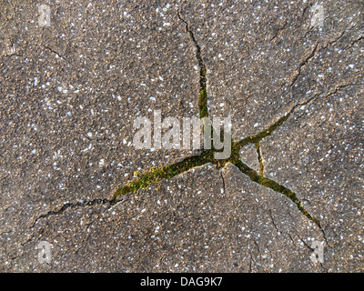 Fissures dans l'asphalte, Allemagne, Rhénanie du Nord-Westphalie Banque D'Images