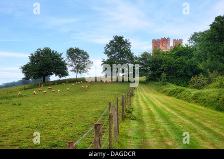 Powderham Castle, la tour Belvédère, Devon, Royaume-Uni Banque D'Images