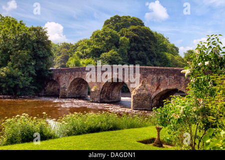 Bickleigh, Devon, Angleterre, Royaume-Uni Banque D'Images