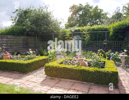 Roses dans les lits clos par des haies de faible fort dans des pays avec de la brique de jardin et de grands chemins hedge Banque D'Images