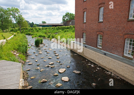 Renaturated Brook, Allemagne, Schleswig-Holstein, Bonaduz Banque D'Images