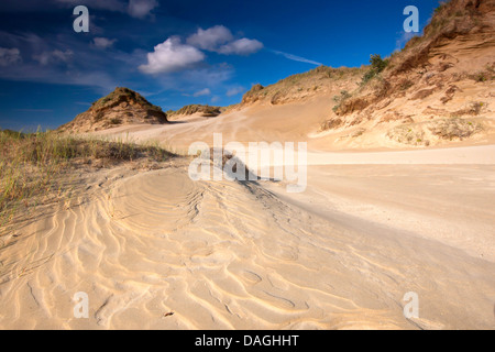 Dunes de sable de la réserve naturelle de Westhoek, Belgique Banque D'Images