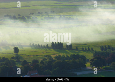Vue aérienne de la zone agricole avec des champs, des arbres des prairies de l'air au printemps, Belgique, Kempen Banque D'Images