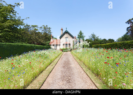 Du jardinier à Polesden Lacey, Great Bookham, Surrey, Angleterre, en été avec des fleurs sauvages frontières rempli Banque D'Images